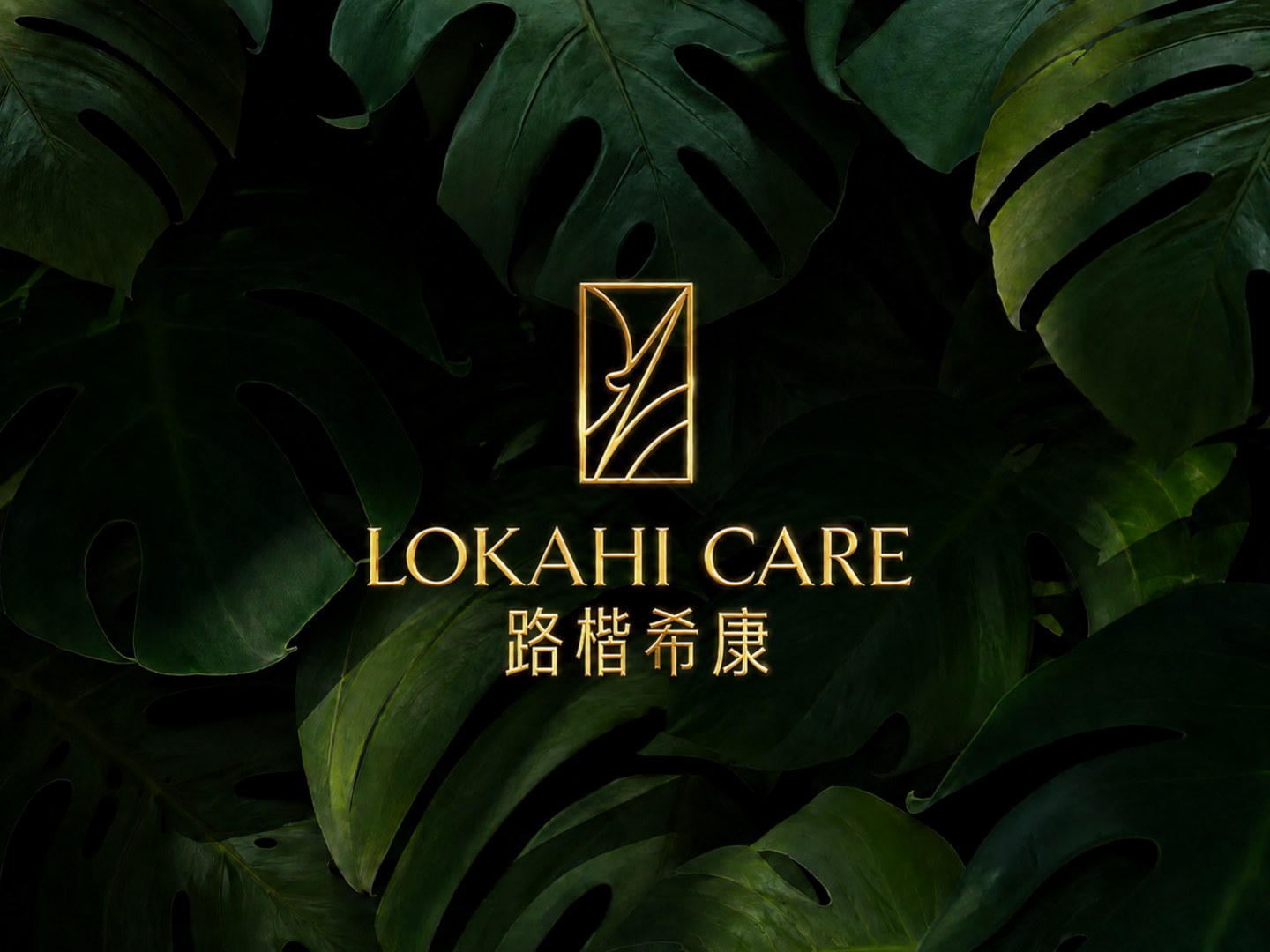 LOKAHI CARE 品牌视觉展示
