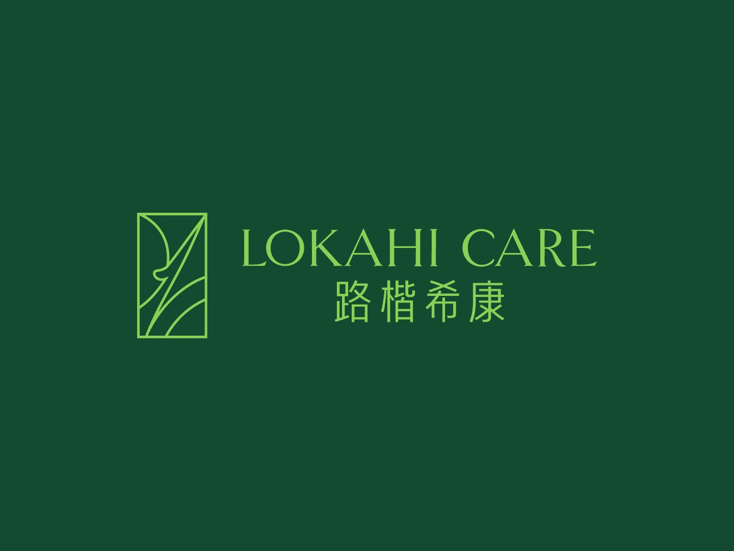 深绿色背景上的品牌标准组合