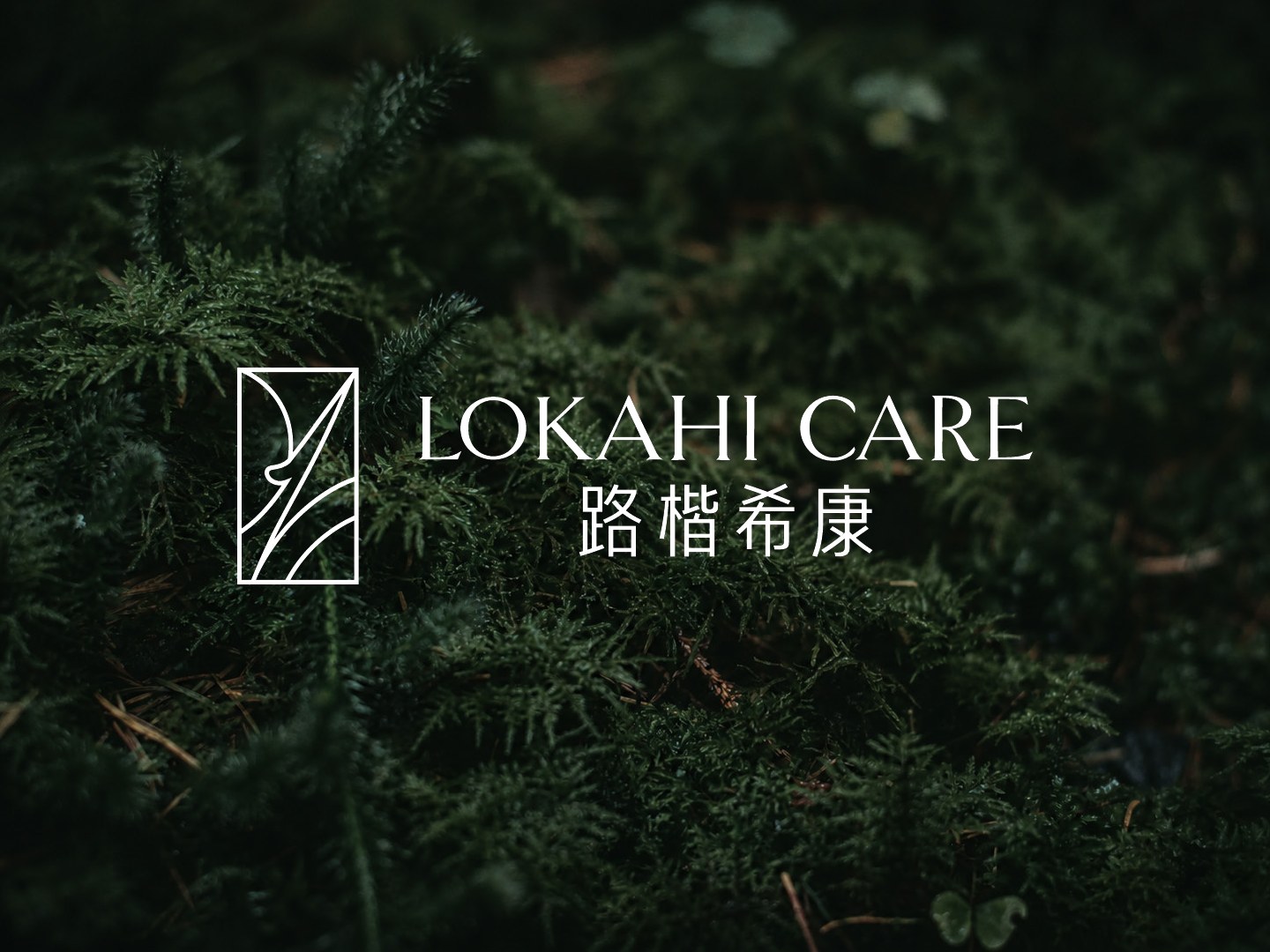 森林背景上的横版标志