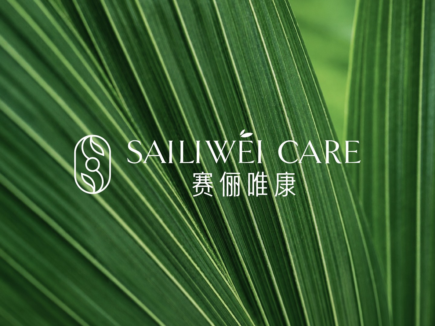 热带叶片上的白色品牌标志