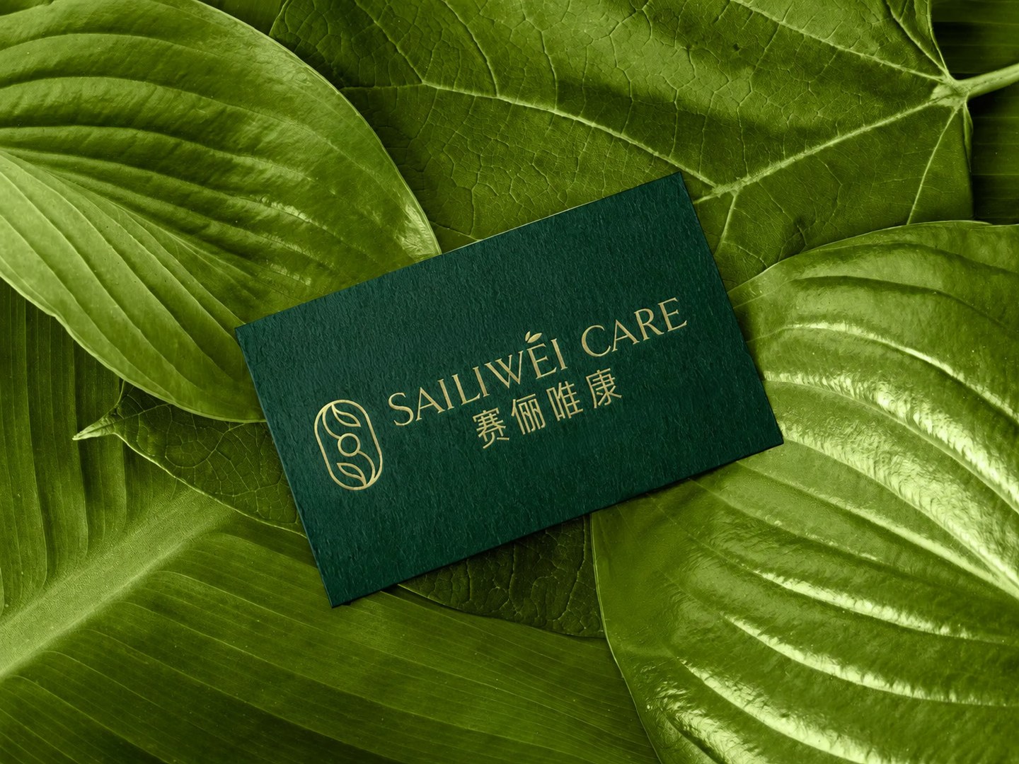 品牌名片应用